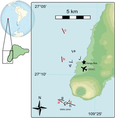 Sea-Surface Slicks and Their Effect on the Concentration of Plastics and Zooplankton in the Coastal Waters of Rapa Nui (Easter Island)